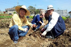 법제처, 익산시 하동마을에서 고구마 캐기 등 일손 도와 새 창으로 열립니다.