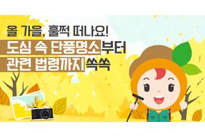 도심 속 단풍명소와 가을꽃 축제