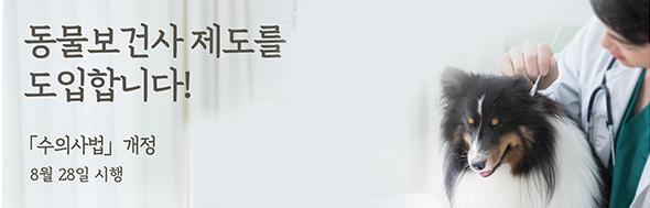 클릭 이슈 이미지