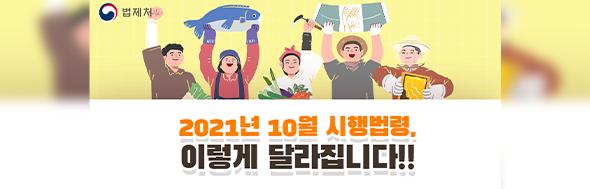 클릭 이슈 이미지
