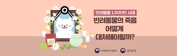 클릭 이슈 이미지