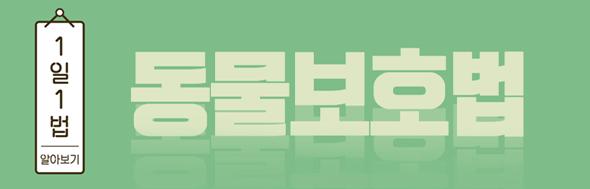 클릭 이슈 이미지