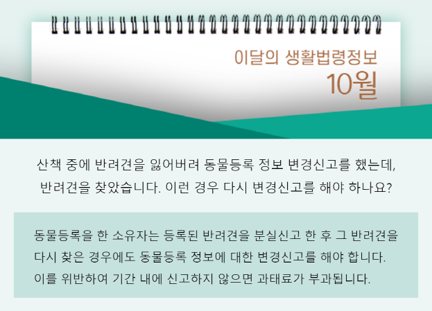 산책 중에 반려견을 잃어버려 동물등록 정보 변경신고를 했는데, 반려견을 찾았습니다. 이런 경우 다시 변경신고를 해야 하나요?