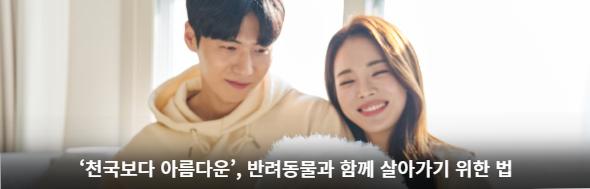 천국보다 아름다운 반려동물과 함께 살아가기 위한 법