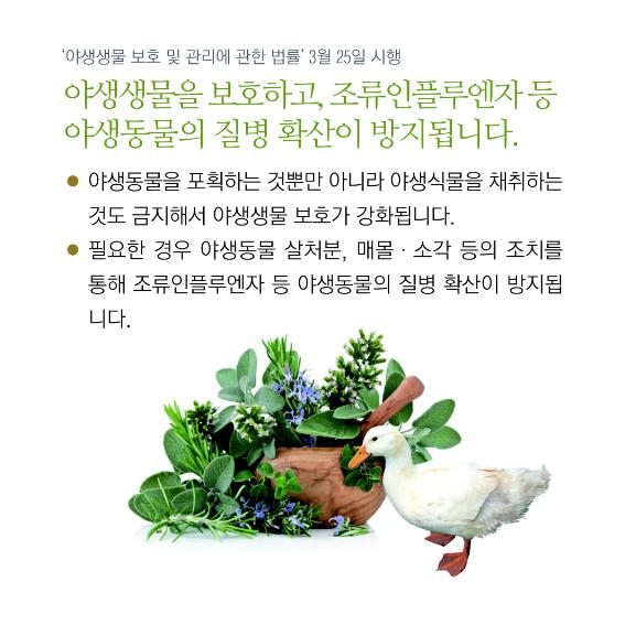 야생동물