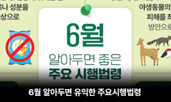 6월 알아두면 유익한 주요시행법령