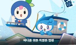 바다를 위한 특별한 법령 해랑이와 알아보기